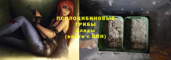 гашик Магас