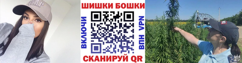 МЕГА ссылки  цены наркотик  Реутов  Бошки Шишки гибрид 